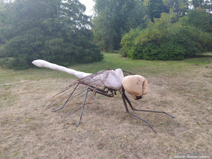 Ботанический сад в сентябре. Или первая прогулка Аси