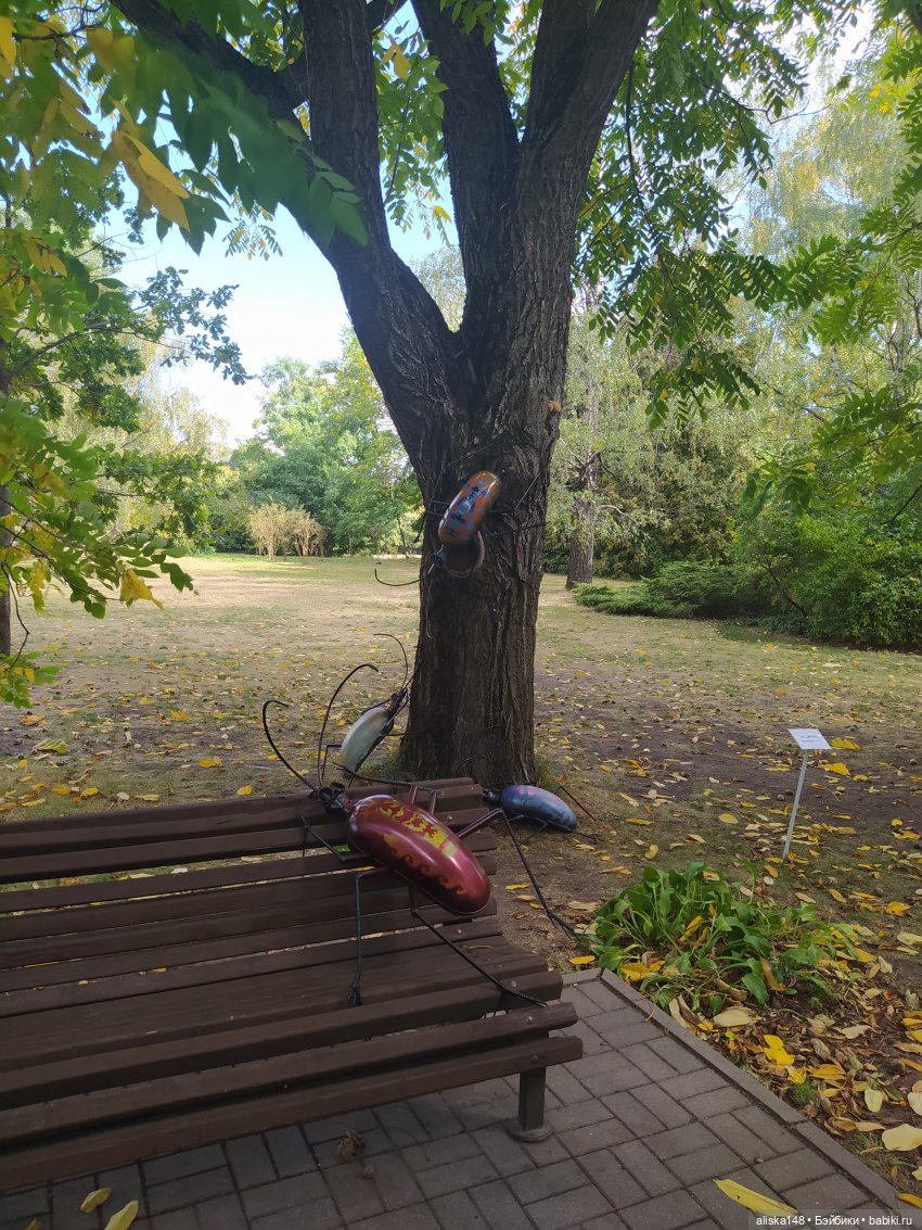 Ботанический сад в сентябре. Или первая прогулка Аси