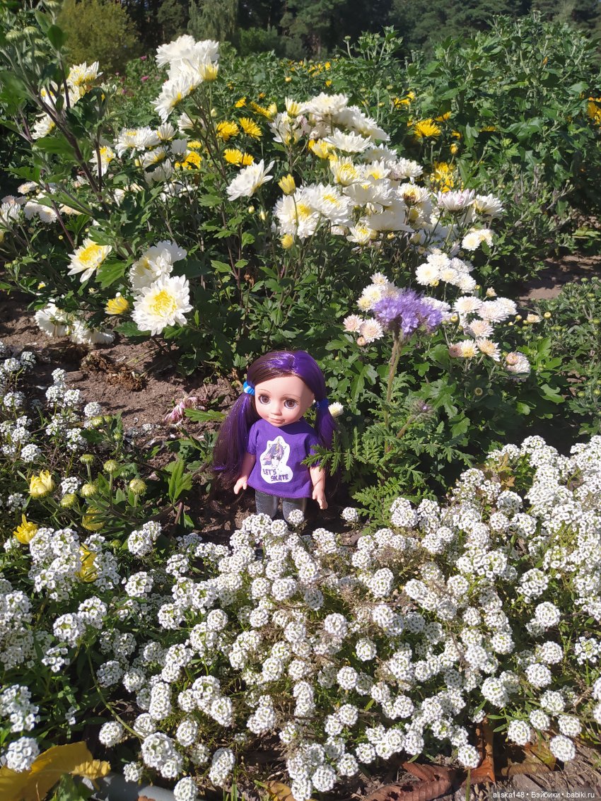 Ботанический сад в сентябре. Или первая прогулка Аси (фото 9)