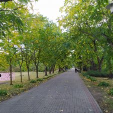 Ботанический сад в сентябре. Или первая прогулка Аси.