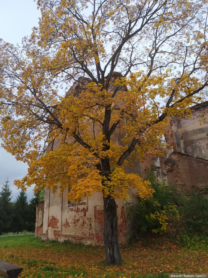 Петра в командировке. Продолжение (фото 8)