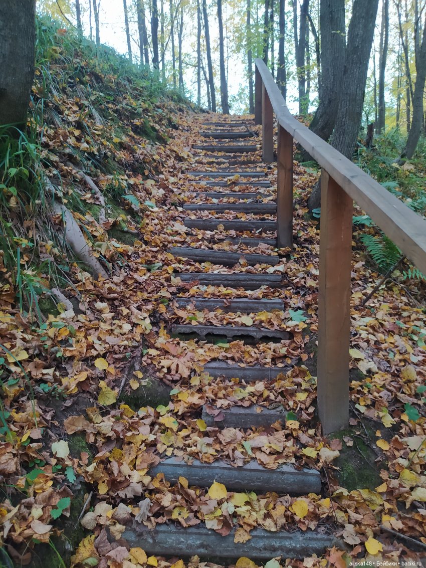 Петра в командировке. Продолжение