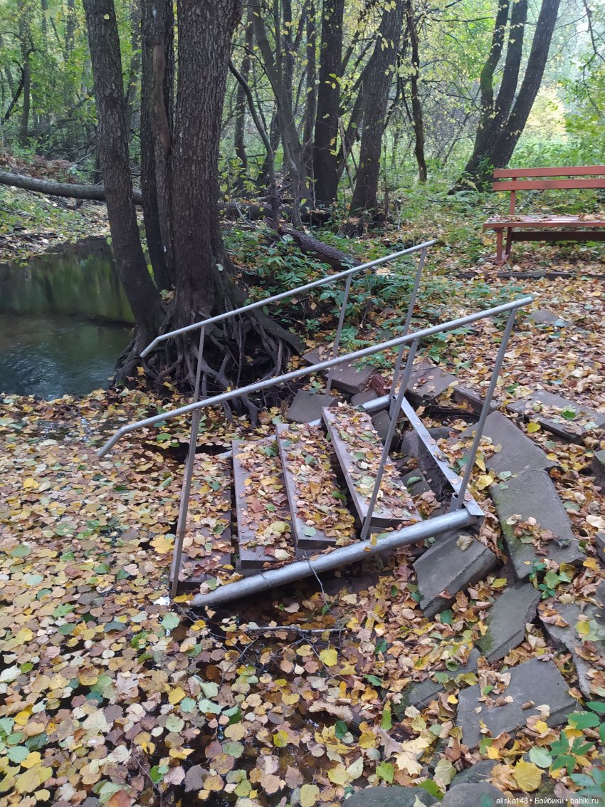 Петра в командировке. Продолжение (фото 10)