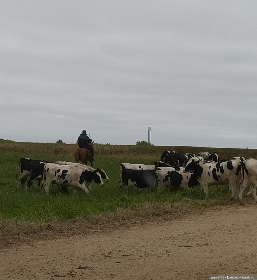 Петра в командировке. Продолжение