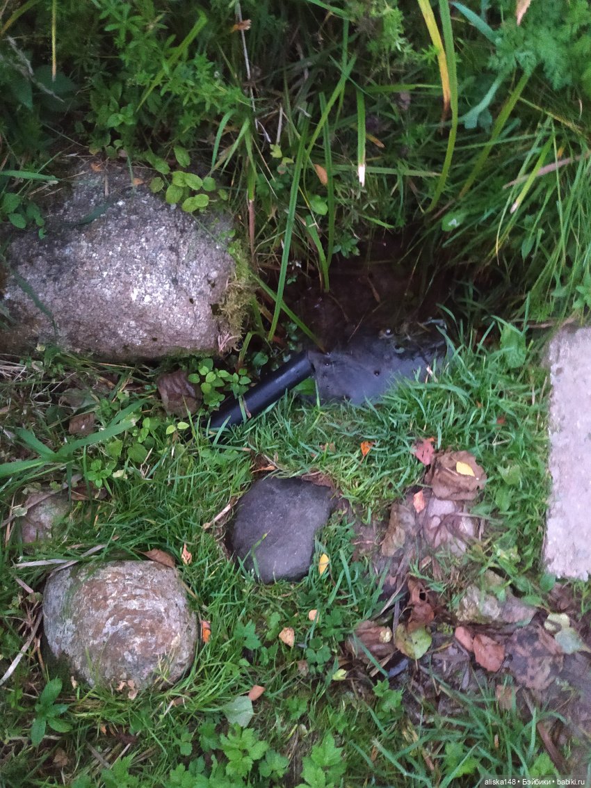 Петра едет в командировку (фото 4)