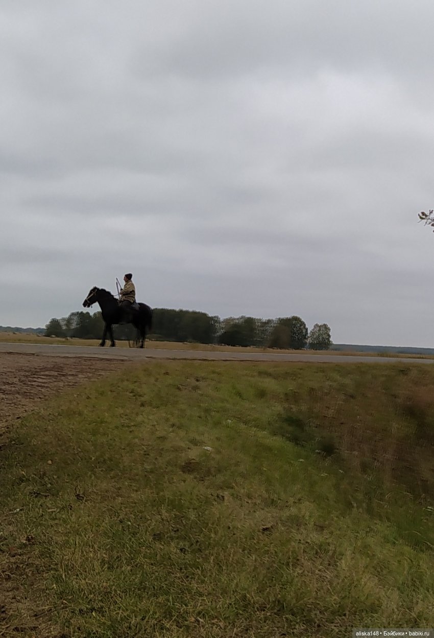 Петра в командировке. Продолжение