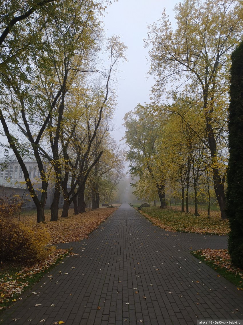 И снова осенние картинки — Куклы с Алиэкспресс (Aliexpress): Китайские шарнирные