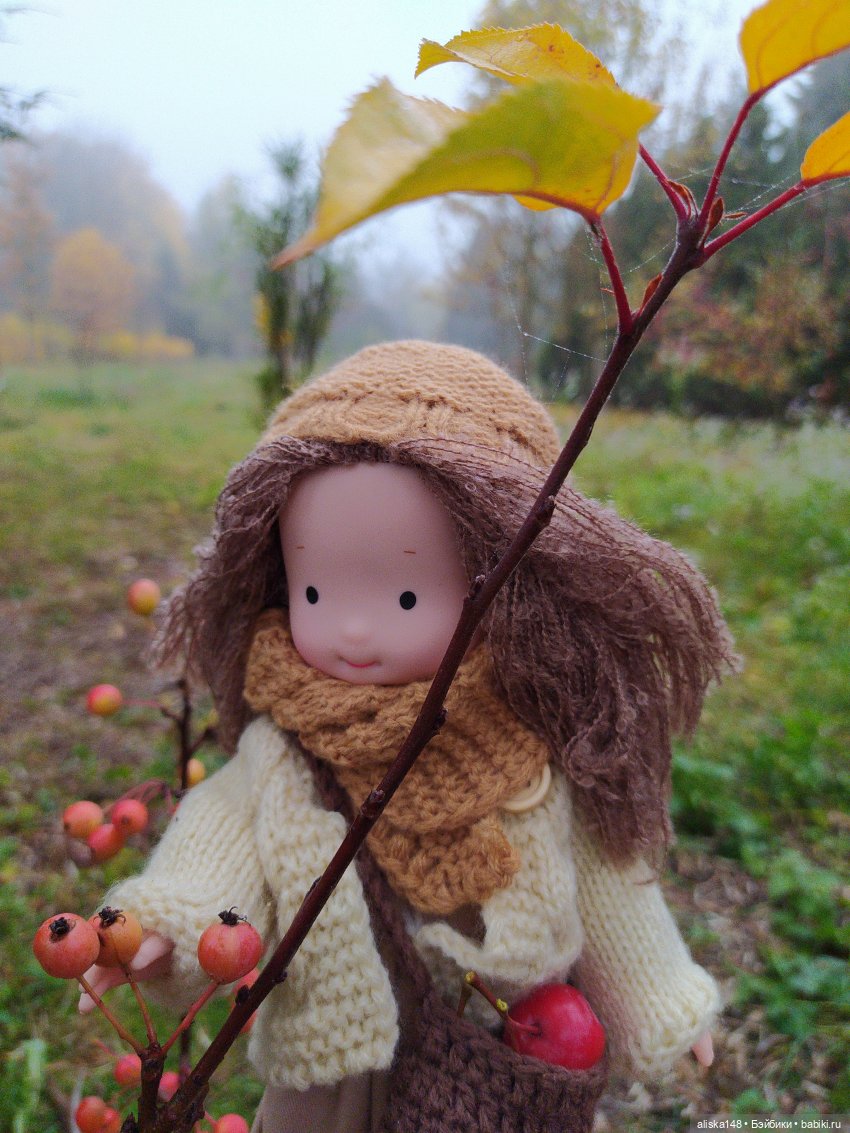 И снова осенние картинки — Куклы с Алиэкспресс (Aliexpress): Китайские шарнирные