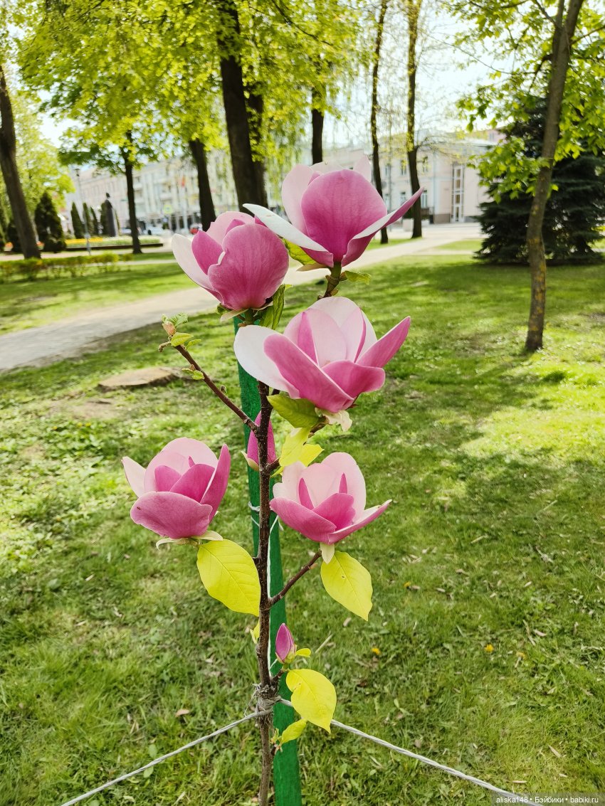Эля и Динка гостят в Гомеле (фото 7)
