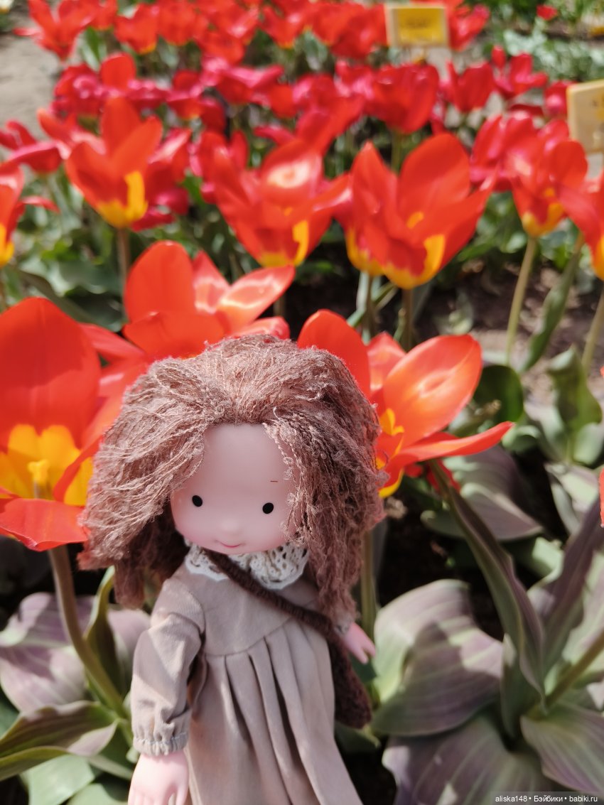 Куклы и цветы. Мадлен — Куклы с Алиэкспресс (Aliexpress): Китайские шарнирные