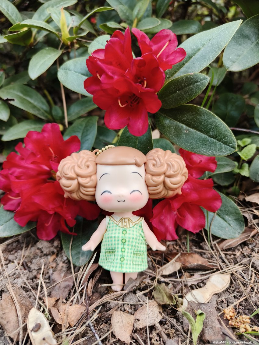 Цветы и куклы. ЛюПин и Алия (фото 8)