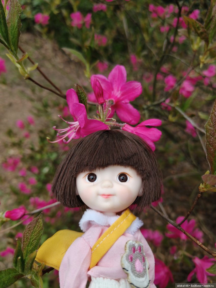 Цветы и куклы. ЛюПин и Алия (фото 4)