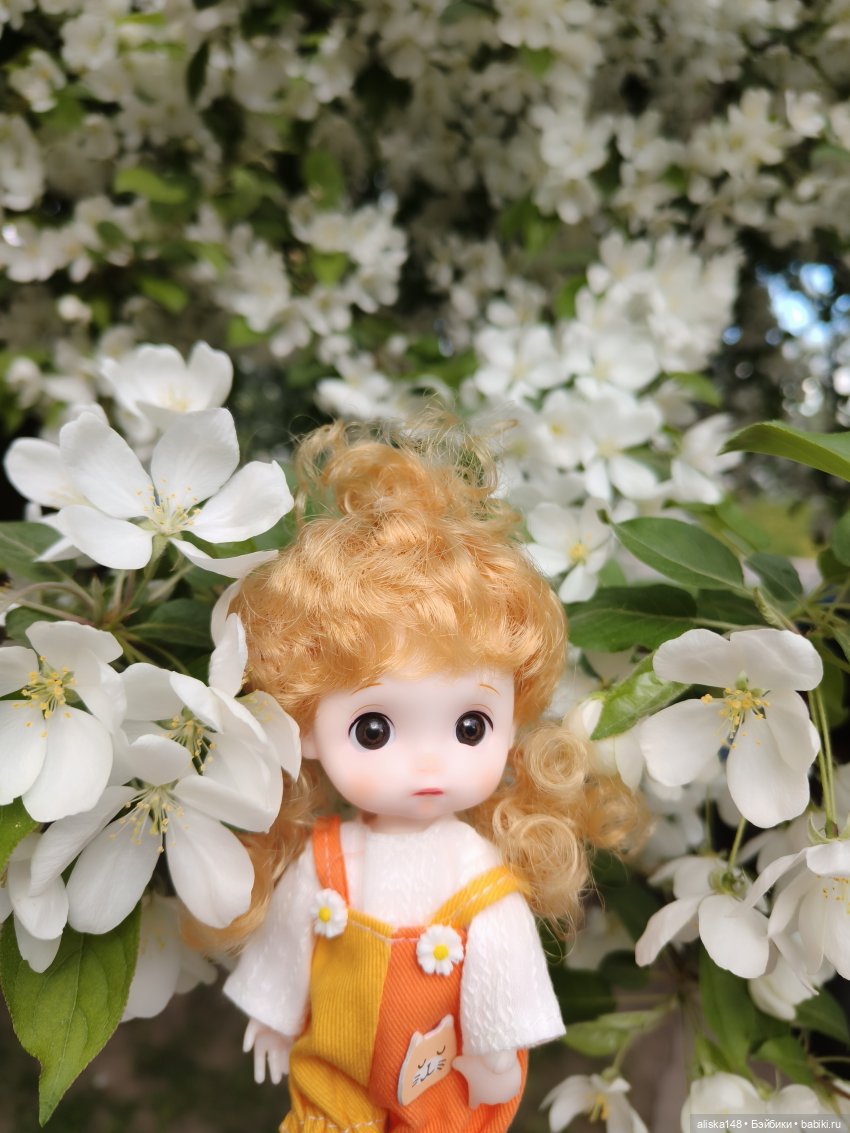 Цветы и куклы. Цыпа — Куклы Baboliy (Баболи