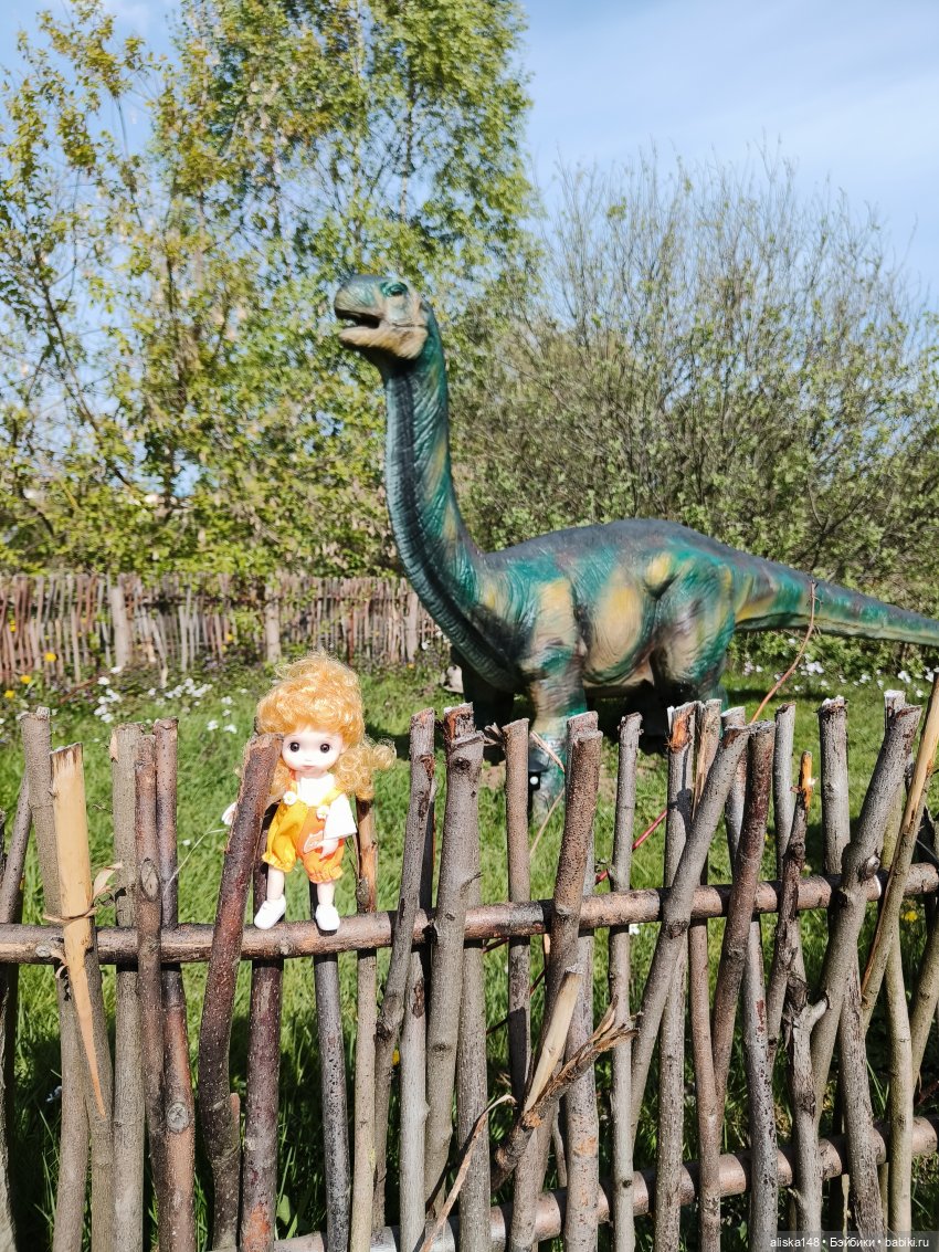 Цветы и куклы. Цыпа — Куклы Baboliy (Баболи