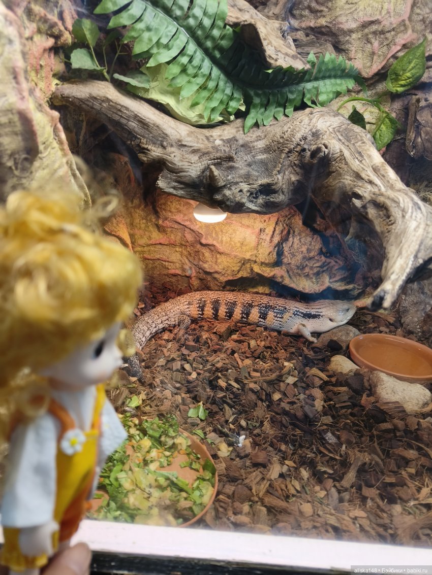 Цветы и куклы. Цыпа — Куклы Baboliy (Баболи (фото 9)