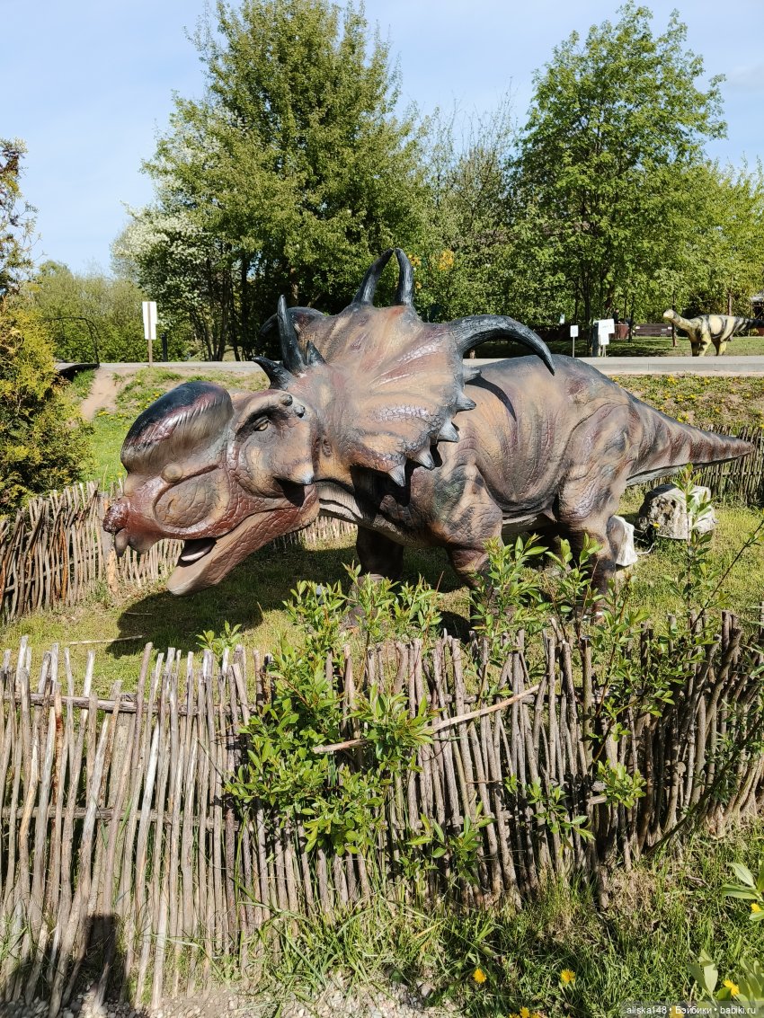 Цветы и куклы. Цыпа — Куклы Baboliy (Баболи