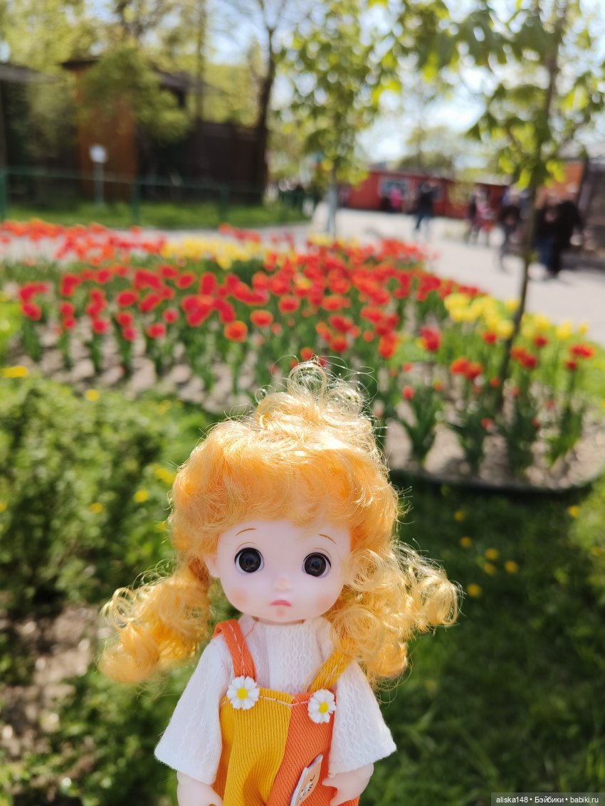 Цветы и куклы. Цыпа — Куклы Baboliy (Баболи (фото 3)
