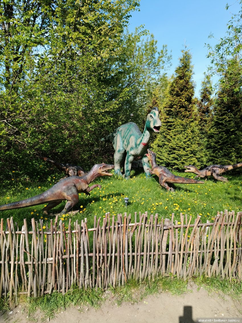 Цветы и куклы. Цыпа — Куклы Baboliy (Баболи