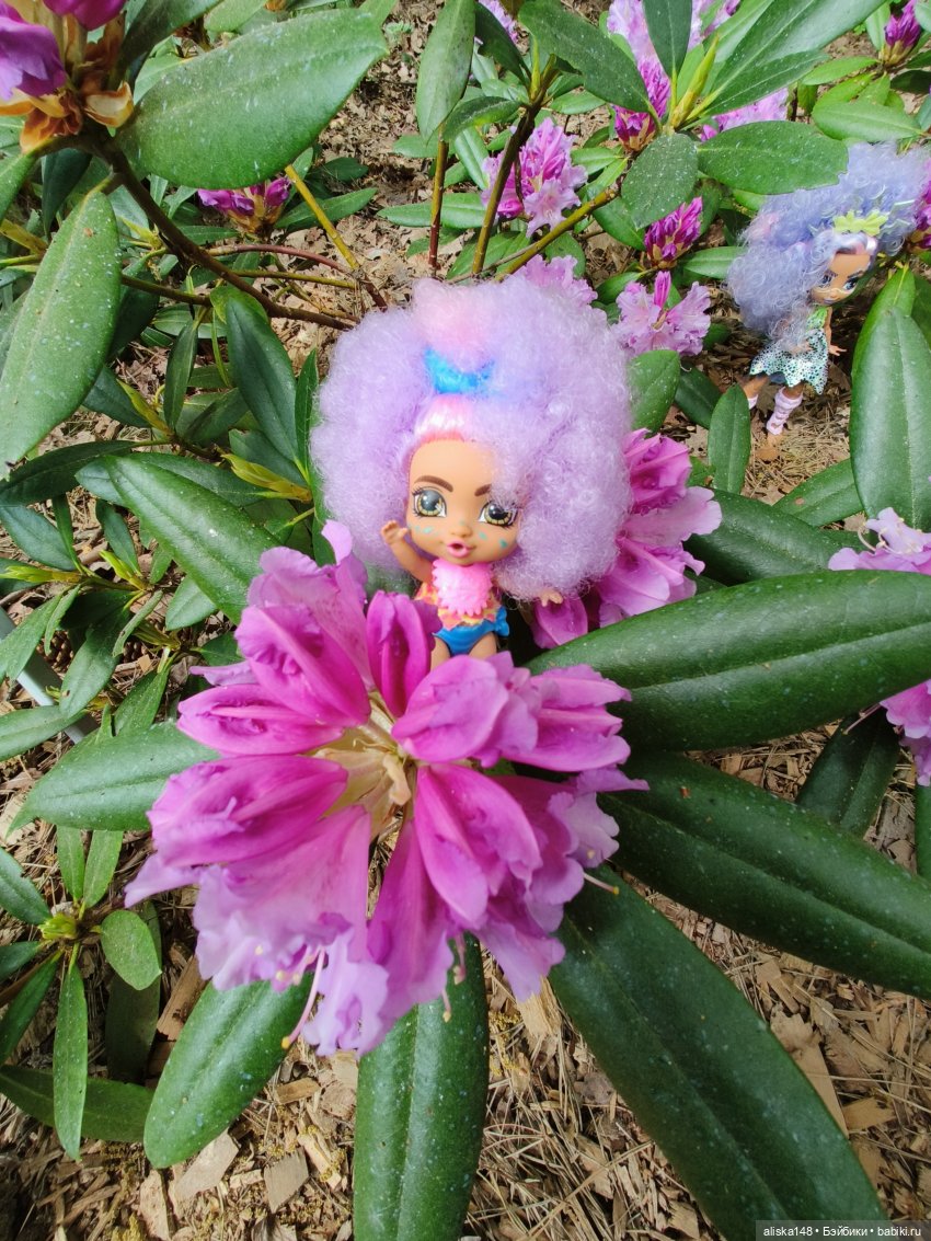 Цветы и куклы. Теперь пещерки (фото 6)