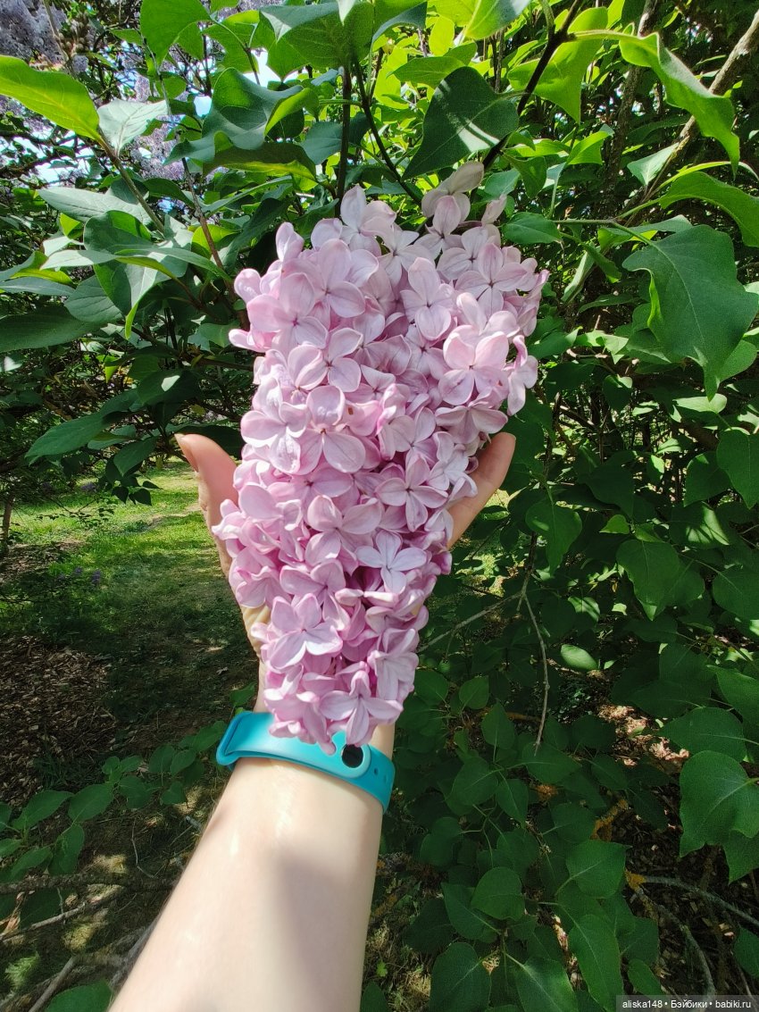 Цветы и куклы. Теперь пещерки