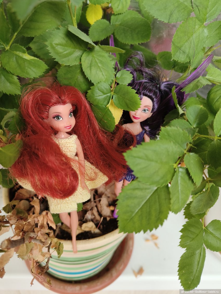 Верите ли вы в фей — Мини