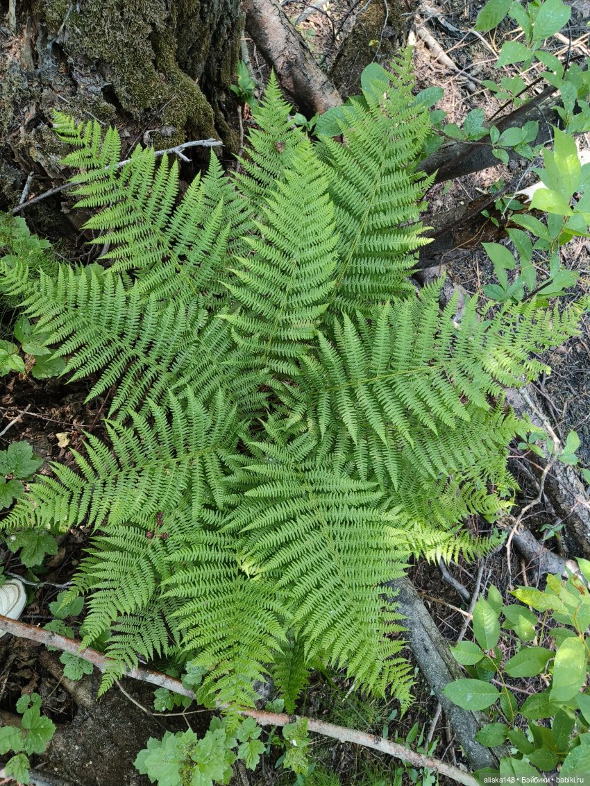 Путешествие по Беларуси. Часть первая, рабочая