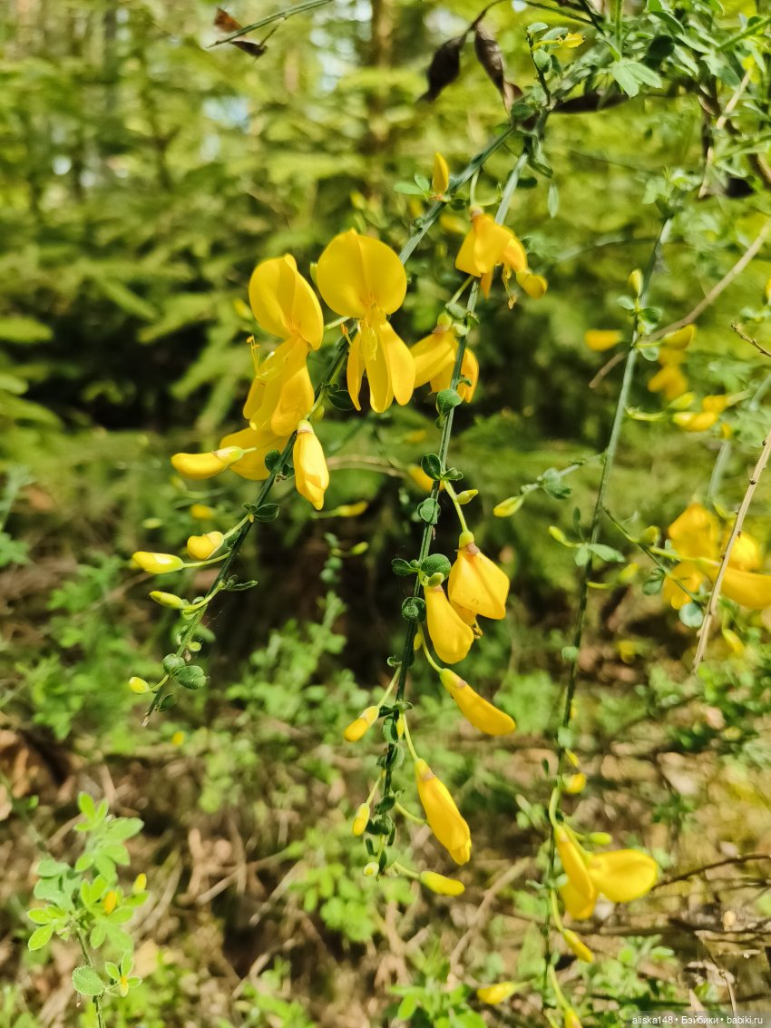 Путешествие по Беларуси. Часть первая, рабочая