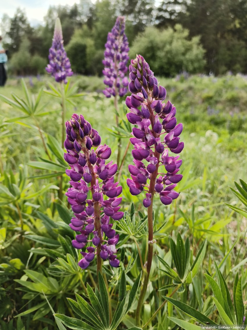 Путешествие по Беларуси. Часть первая, рабочая