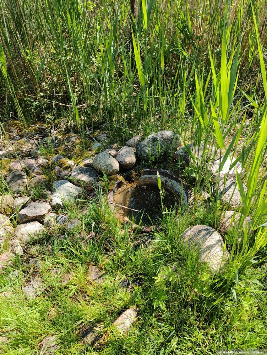 Путешествие по Беларуси. Часть первая, рабочая