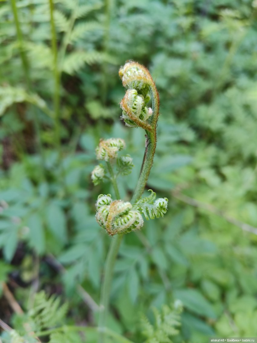 Путешествие по Беларуси. Часть первая, рабочая