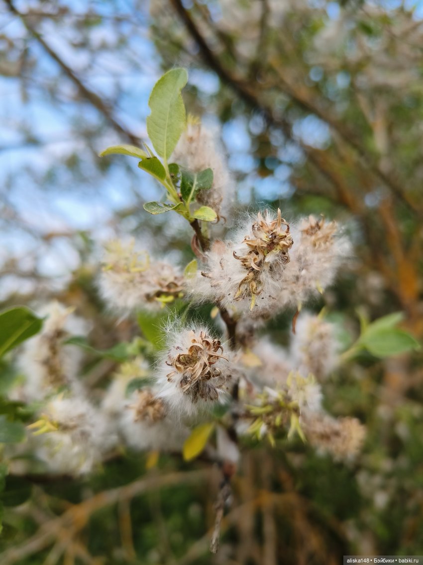 Путешествие по Беларуси. Часть первая, рабочая (фото 8)