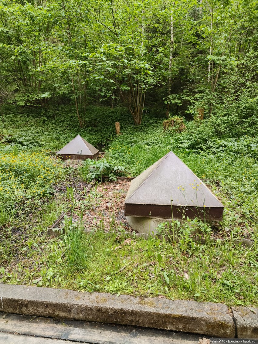 Путешествие по Беларуси. Часть первая, рабочая (фото 5)