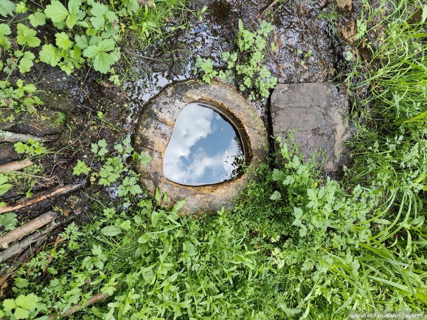 Путешествие по Беларуси. Часть первая, рабочая (фото 3)