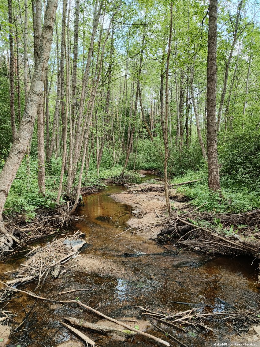 Путешествие по Беларуси. Часть первая, рабочая (фото 6)