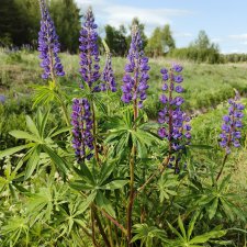 Путешествие по Беларуси. Часть первая, рабочая.