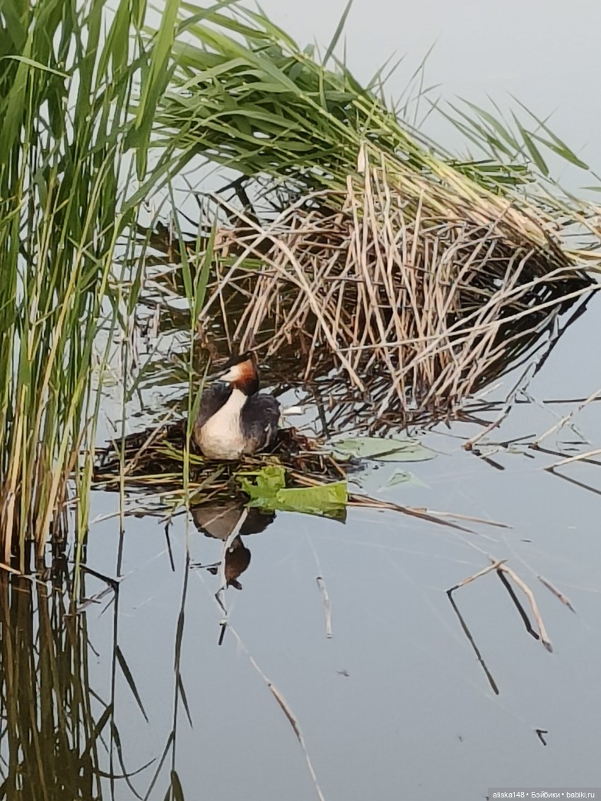 Путешествие по Беларуси. Часть третья. Глубокое