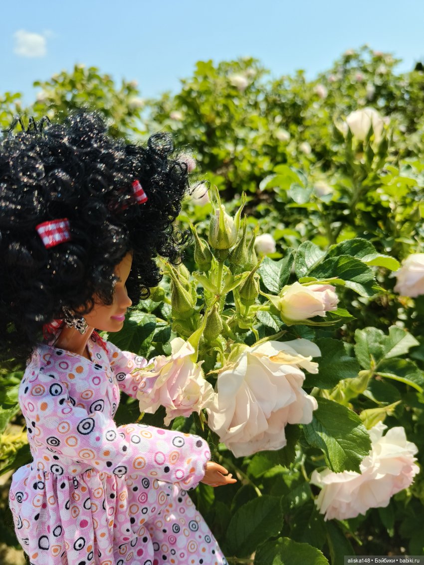 Ботанический сад в июне — Аналоги Барби и куклы 1/6: клоны 90