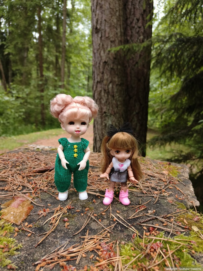 Путешествия продолжаются — Куклы Baboliy (Баболи