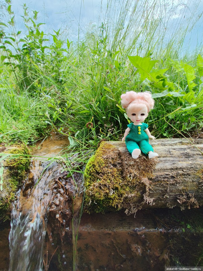 Путешествия продолжаются — Куклы Baboliy (Баболи (фото 8)