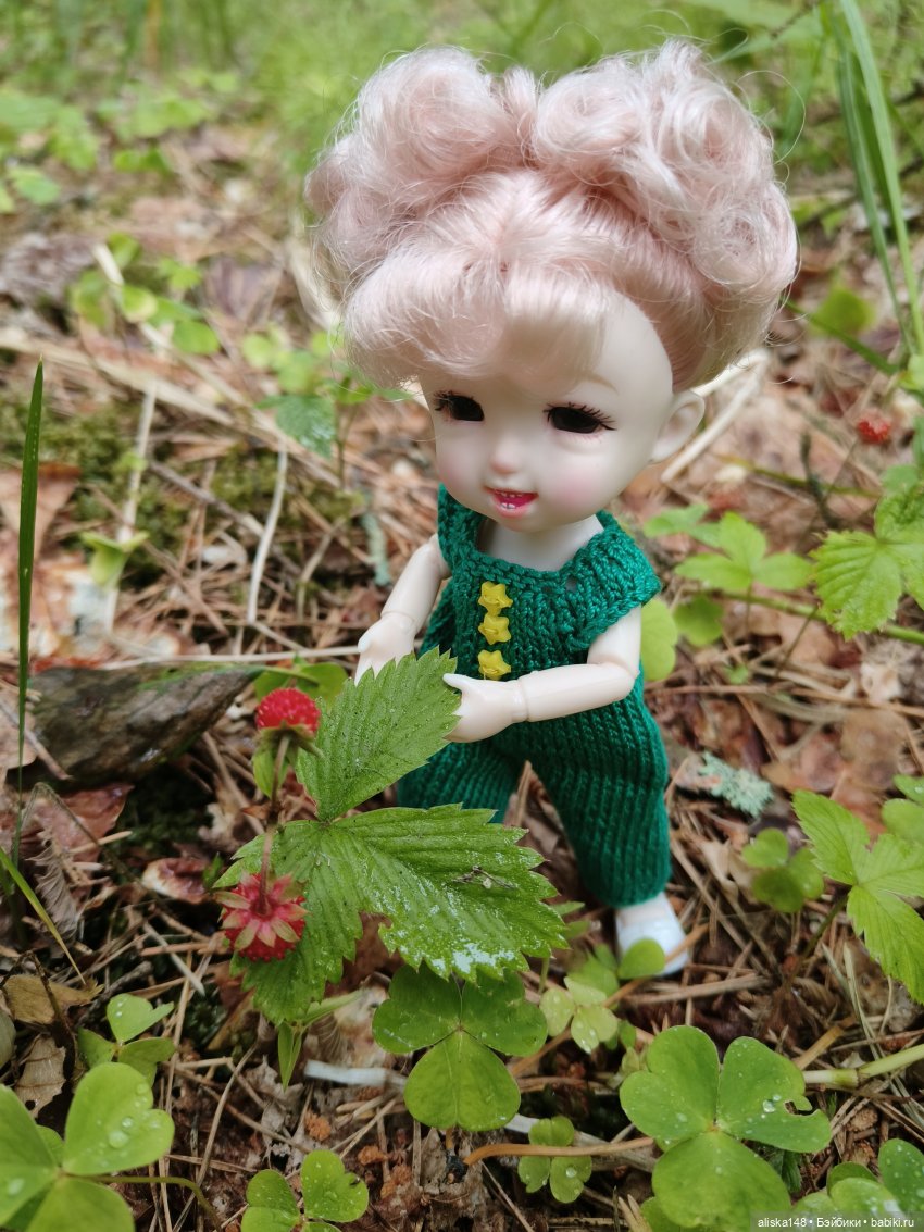 Путешествия продолжаются — Куклы Baboliy (Баболи
