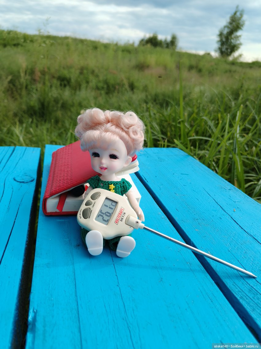 Путешествия продолжаются — Куклы Baboliy (Баболи (фото 9)