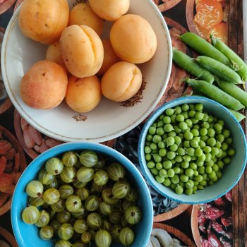 Лето у бабушки.