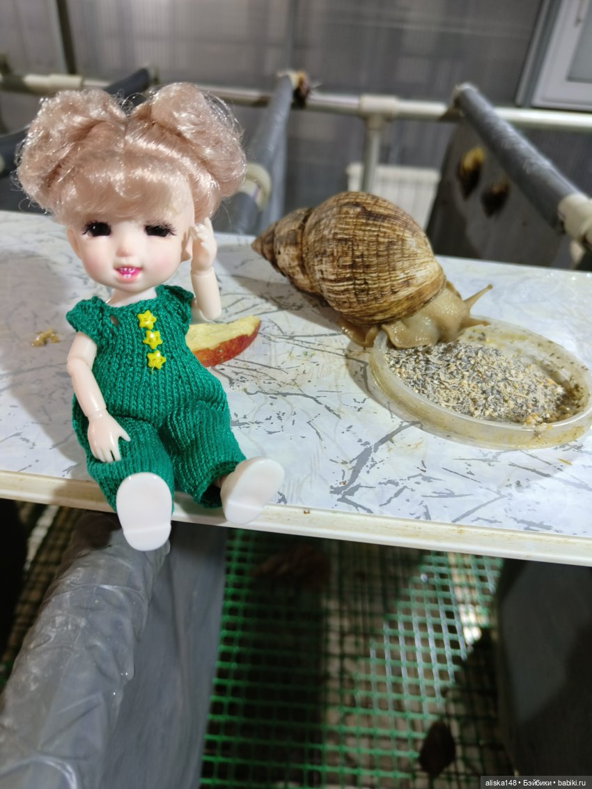 Лето у бабушки — Куклы Baboliy (Баболи