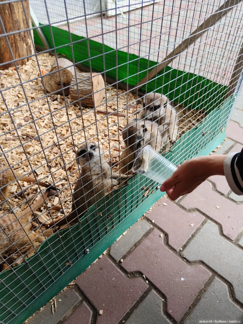 Лето у бабушки — Куклы Baboliy (Баболи