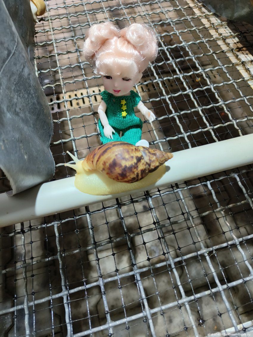 Лето у бабушки — Куклы Baboliy (Баболи