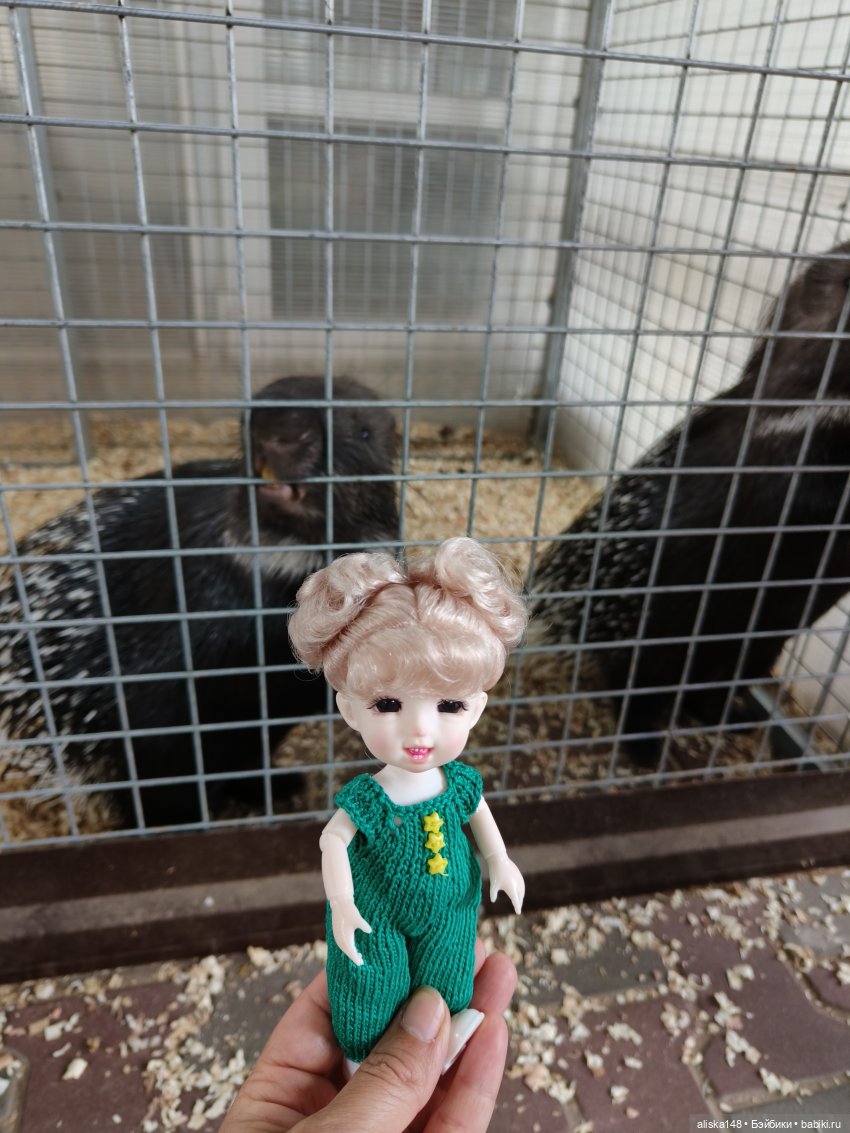 Лето у бабушки — Куклы Baboliy (Баболи