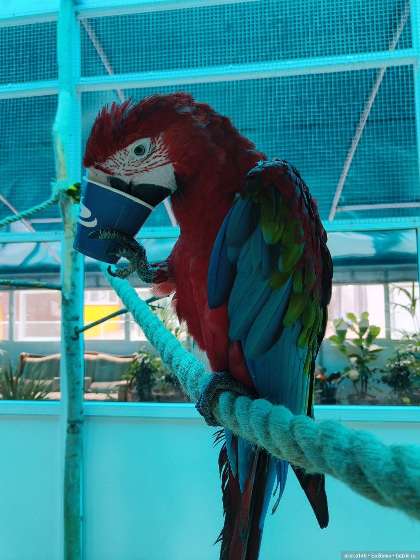 Лето у бабушки — Куклы Baboliy (Баболи