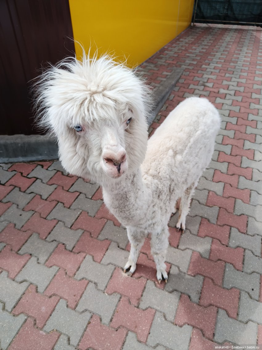 Лето у бабушки — Куклы Baboliy (Баболи