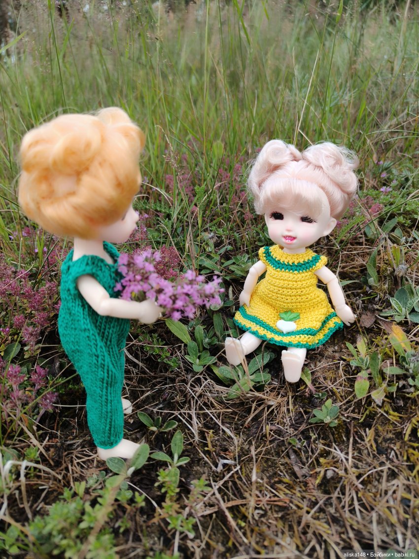 Как я провел лето. Споровский заказник