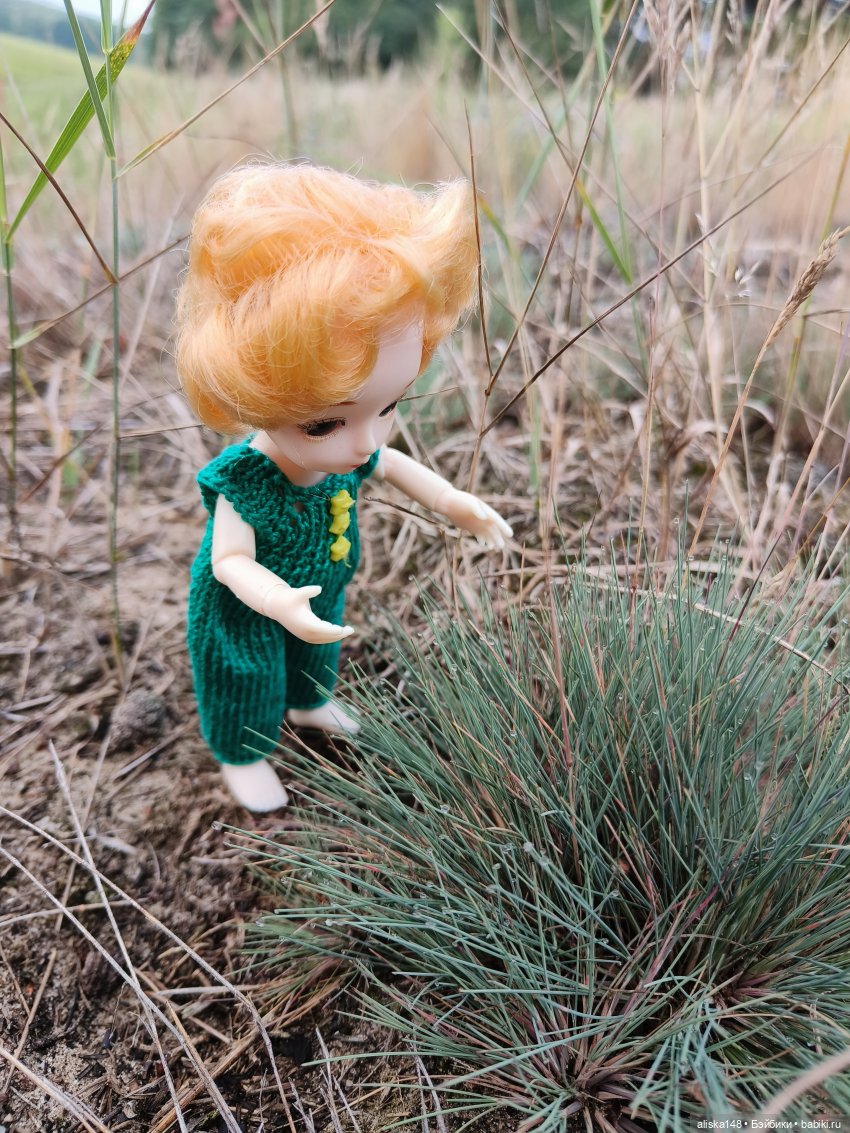 Как я провел лето. Споровский заказник